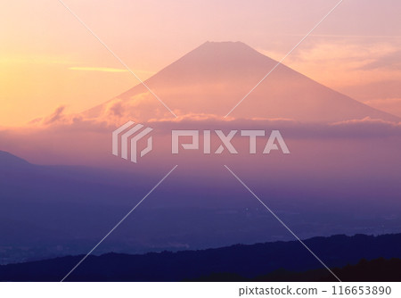靜岡縣三島市佐野沐浴夕陽的富士山 靜岡縣三島市佐野沐浴夕陽的富士山 116653890