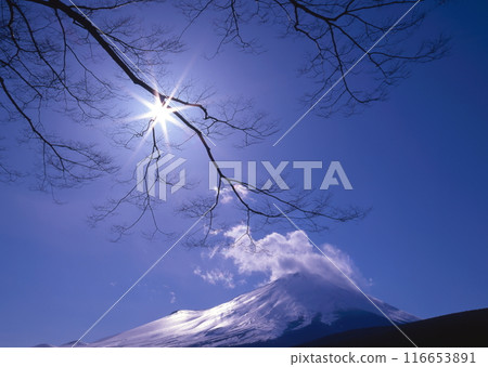 靜岡縣小山町須走市的富士山和日落 靜岡縣小山町須走市的富士山和日落 116653891