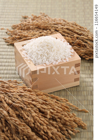 裝在盒子裡的白米飯 116654149