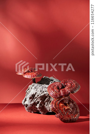 Several lingzhi mushrooms displayed around a block of stone over the red background. Lingzhi mushrooms may benefit your immune and overall health Several lingzhi mushrooms displayed around a block of stone over the red background. Lingzhi mushrooms may benefit your immune and overall health 116654277