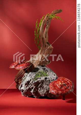 A branch of tree decorated on a block of stone with red lingzhi mushrooms against red background. Front view. Lingzhi mushroom has been used to help enhance the immune system A branch of tree decorated on a block of stone with red lingzhi mushrooms against red background. Front view. Lingzhi mushroom has been used to help enhance the immune system 116654278