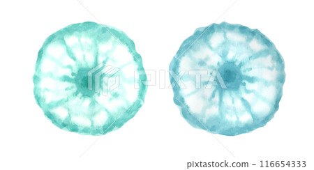 Blue green jellyfish set. Watercolor fuzzy and blurry figures like as abstract citrus slices or flowers. Top view. Animal clip art. Sea illustration. For cheerful and fresh design, kid stationery 116654333