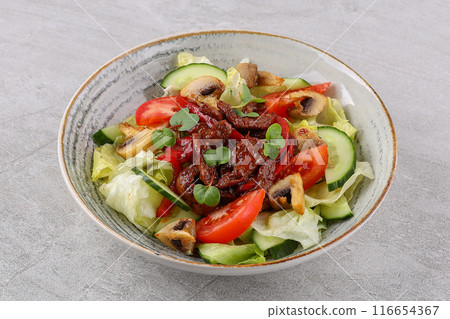 salad with meat, mushrooms, tomatoes and cucumbers on a stone background, studio food photo 1 116654367