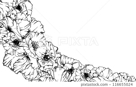 Hand drawn vector graphic botanical illustration flowers leaves. Red poppy papaver, stems buds seedpods. Border frame isolated on white background. Design wedding, cards, remembrance day stationery. Hand drawn vector graphic botanical illustration flowers leaves. Red poppy papaver, stems buds seedpods. Border frame isolated on white background. Design wedding, cards, remembrance day stationery. 116655024
