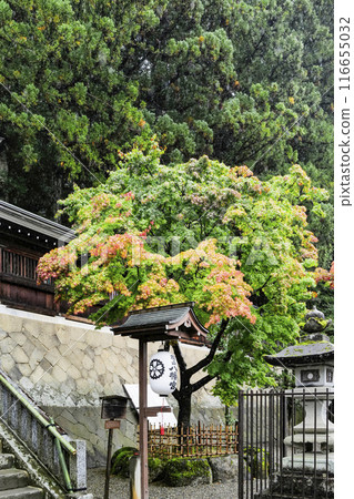 雨中的飛驒高山櫻山八幡神社 116655032