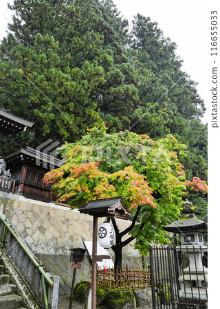 Hida Takayama: Sakurayama Hachiman Shrine in the rain 116655033