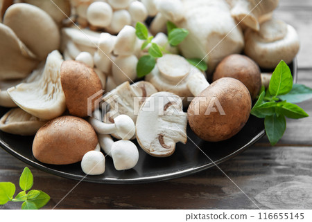 Assortment of various mushrooms 116655145