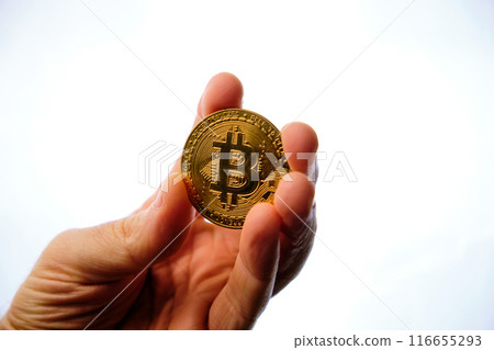 Hand holding a bitcoin coin. 116655293