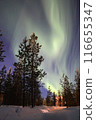 Aurora and mountain hut 116655347