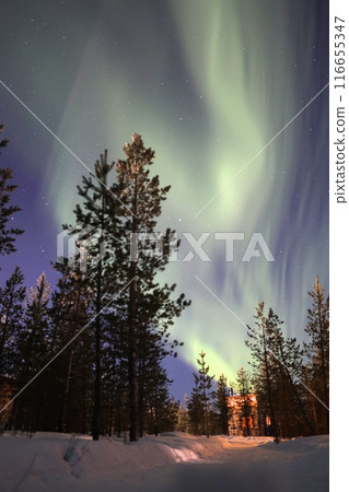 Aurora and mountain hut Aurora and mountain hut 116655347