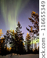  Aurora 116655349