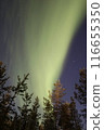  Aurora 116655350