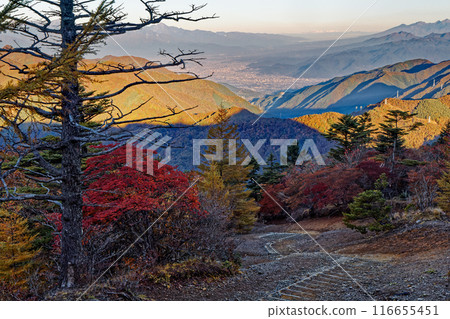 秋天從光峠看到的甲府盆地早晨的城市景觀 116655451