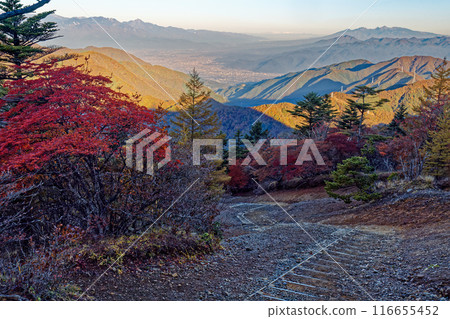 秋天從光峠看到的甲府盆地、南阿爾卑斯山和八岳的街景 116655452