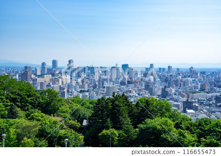 Sapporo 116655473