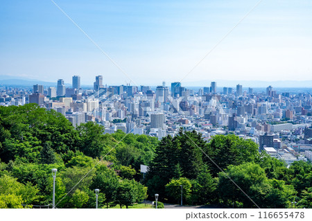 Sapporo 116655478