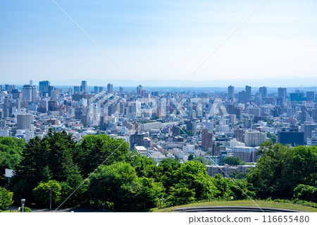 Sapporo 116655480