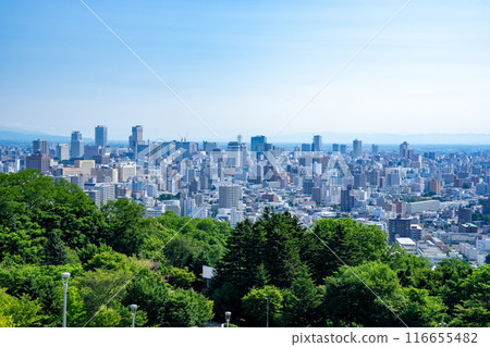 Sapporo 116655482