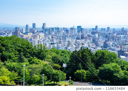 Sapporo Sapporo 116655484