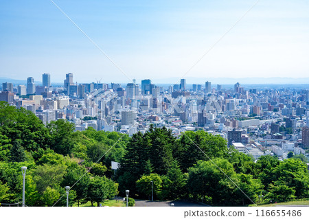 Sapporo Sapporo 116655486