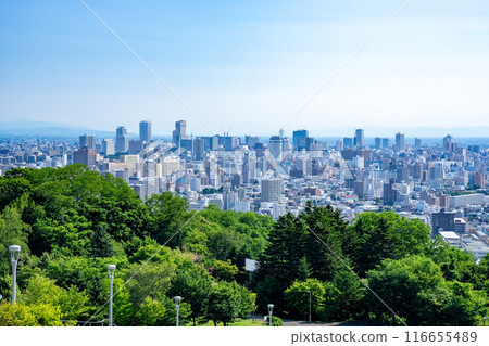 Sapporo Sapporo 116655489