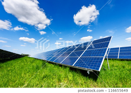 Solar panels on green meadow in sunny day 116655649