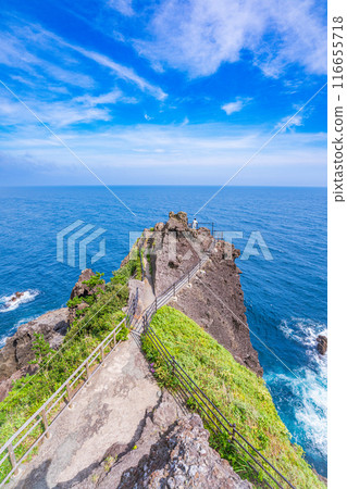 [Shizuoka Prefecture] Irozaki Ishimuro Shrine and Kumano Shrine at the tip 116655718