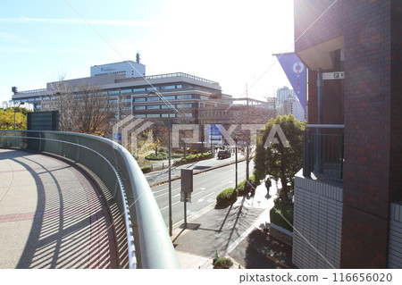 橫濱旅遊 橫濱 橫濱空中客艙 橫濱日本大通 橫濱公園 蘇我花園 橫濱港未來 神奈川縣政府 橫濱旅遊 橫濱 橫濱空中客艙 橫濱日本大通 橫濱公園 蘇我花園 橫濱港未來 神奈川縣政府 116656020