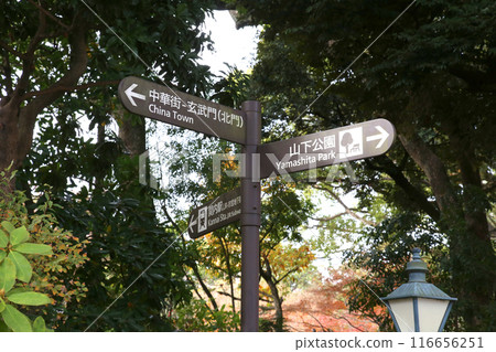 Yokohama Tourism Yokohama Yokohama Air Cabin Yokohama Japan Boulevard Yokohama Park Kaga Garden Yokohama Minato Mirai Kanagawa Prefectural Office Yokohama Tourism Yokohama Yokohama Air Cabin Yokohama Japan Boulevard Yokohama Park Kaga Garden Yokohama Minato Mirai Kanagawa Prefectural Office 116656251