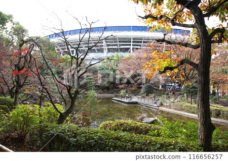 Yokohama Tourism Yokohama Yokohama Air Cabin Yokohama Japan Boulevard Yokohama Park Kaga Garden Yokohama Minato Mirai Kanagawa Prefectural Office Yokohama Tourism Yokohama Yokohama Air Cabin Yokohama Japan Boulevard Yokohama Park Kaga Garden Yokohama Minato Mirai Kanagawa Prefectural Office 116656257