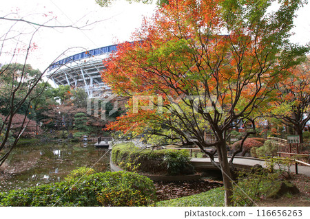 Yokohama Tourism Yokohama Yokohama Air Cabin Yokohama Japan Boulevard Yokohama Park Kaga Garden Yokohama Minato Mirai Kanagawa Prefectural Office Yokohama Tourism Yokohama Yokohama Air Cabin Yokohama Japan Boulevard Yokohama Park Kaga Garden Yokohama Minato Mirai Kanagawa Prefectural Office 116656263