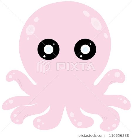 Squid  116656288