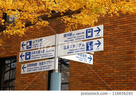 橫濱旅遊 橫濱 橫濱空中客艙 橫濱日本大通 橫濱公園 蘇我花園 橫濱港未來 神奈川縣政府 116656293