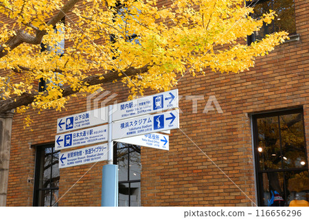 橫濱旅遊 橫濱 橫濱空中客艙 橫濱日本大通 橫濱公園 蘇我花園 橫濱港未來 神奈川縣政府 116656296