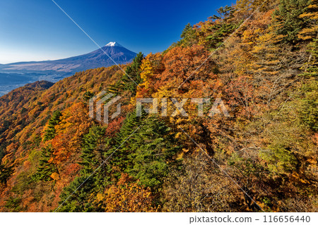 View of Mt. Fuji from Mitsutoge Pass in autumn colors 116656440