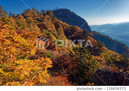 光峠和海雲山頂的紅葉景色 光峠和海雲山頂的紅葉景色 116656573