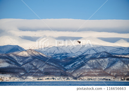 The sea, sky, snowy mountains and free-flying Steller's sea eagles of Shiretoko 116656663
