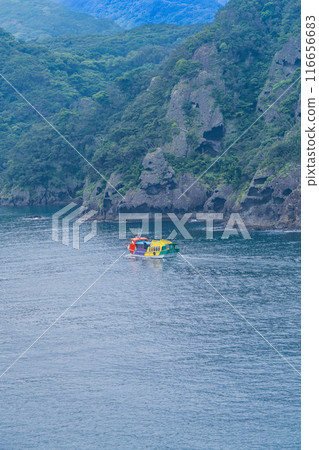 [Shizuoka Prefecture] Cape Irozaki and sightseeing boats 116656683