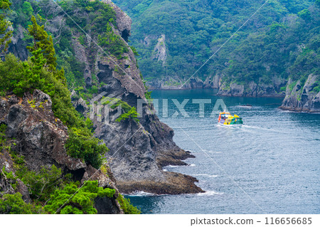 [Shizuoka Prefecture] Cape Irozaki and sightseeing boats 116656685