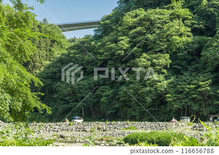 【多西河對岸汽車露營地】 【多西河對岸汽車露營地】 116656788