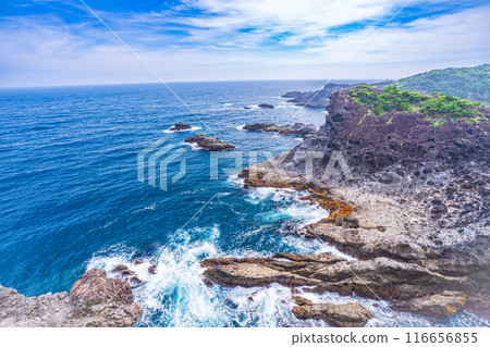 [Shizuoka Prefecture] The scenery of Cape Irozaki 116656855