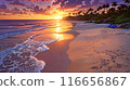 美麗的海灘 116656867