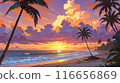 棕櫚樹和日落 116656869