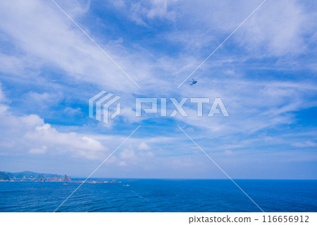 [Shizuoka Prefecture] A helicopter flying over Cape Irozaki 116656912