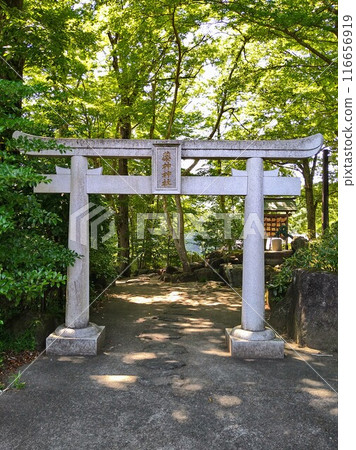 日立國出雲大社藥神神社鳥居 日立國出雲大社藥神神社鳥居 116656919