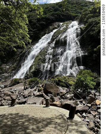 Okono-taki Falls are grand waterfalls representative of Yakushima Island at a height of 88 m. The attractive feature is the sight that changes just after rain because the rainfall runs over bedrock fo Okono-taki Falls are grand waterfalls representative of Yakushima Island at a height of 88 m. The attractive feature is the sight that changes just after rain because the rainfall runs over bedrock fo 116658469
