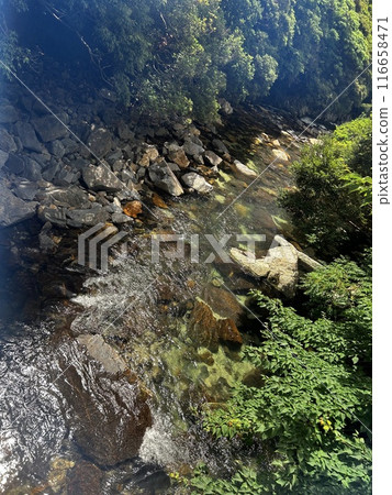 Okono-taki Falls are grand waterfalls representative of Yakushima Island at a height of 88 m. The attractive feature is the sight that changes just after rain because the rainfall runs over bedrock fo Okono-taki Falls are grand waterfalls representative of Yakushima Island at a height of 88 m. The attractive feature is the sight that changes just after rain because the rainfall runs over bedrock fo 116658471