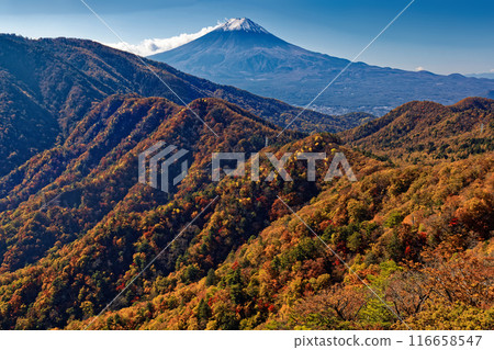 從本社伽丸和築岩岩看到的秋葉富士山 從本社伽丸和築岩岩看到的秋葉富士山 116658547