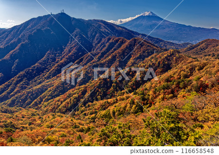 從本社伽丸和築岩岩看到的秋葉富士山 從本社伽丸和築岩岩看到的秋葉富士山 116658548