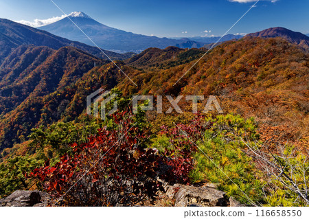 Mitsutoge Pass and Mt. Fuji seen from Honshagamaru ridgeline in autumn colors Mitsutoge Pass and Mt. Fuji seen from Honshagamaru ridgeline in autumn colors 116658550